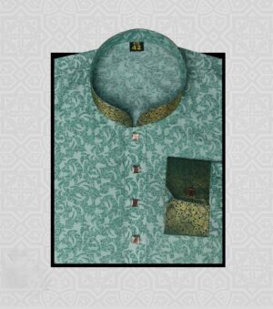 Jacquard Premium Punjabi